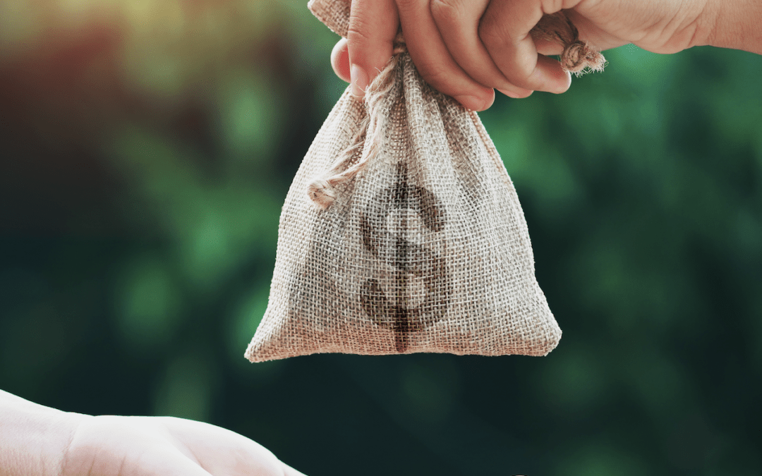Business Grants and Funding Sources for Activity Providers