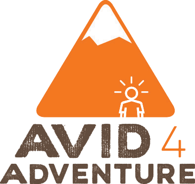 avid avid 1